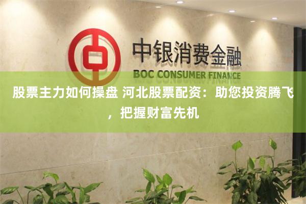 股票主力如何操盘 河北股票配资：助您投资腾飞，把握财富先机