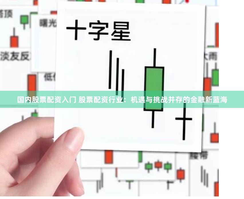 国内股票配资入门 股票配资行业：机遇与挑战并存的金融新蓝海