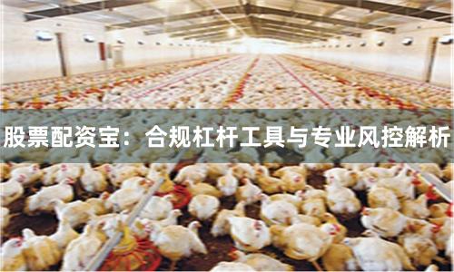 股票配资宝：合规杠杆工具与专业风控解析