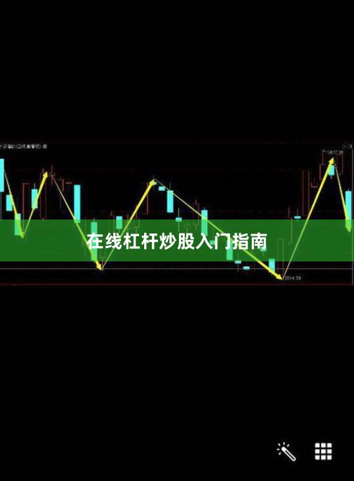 在线杠杆炒股入门指南